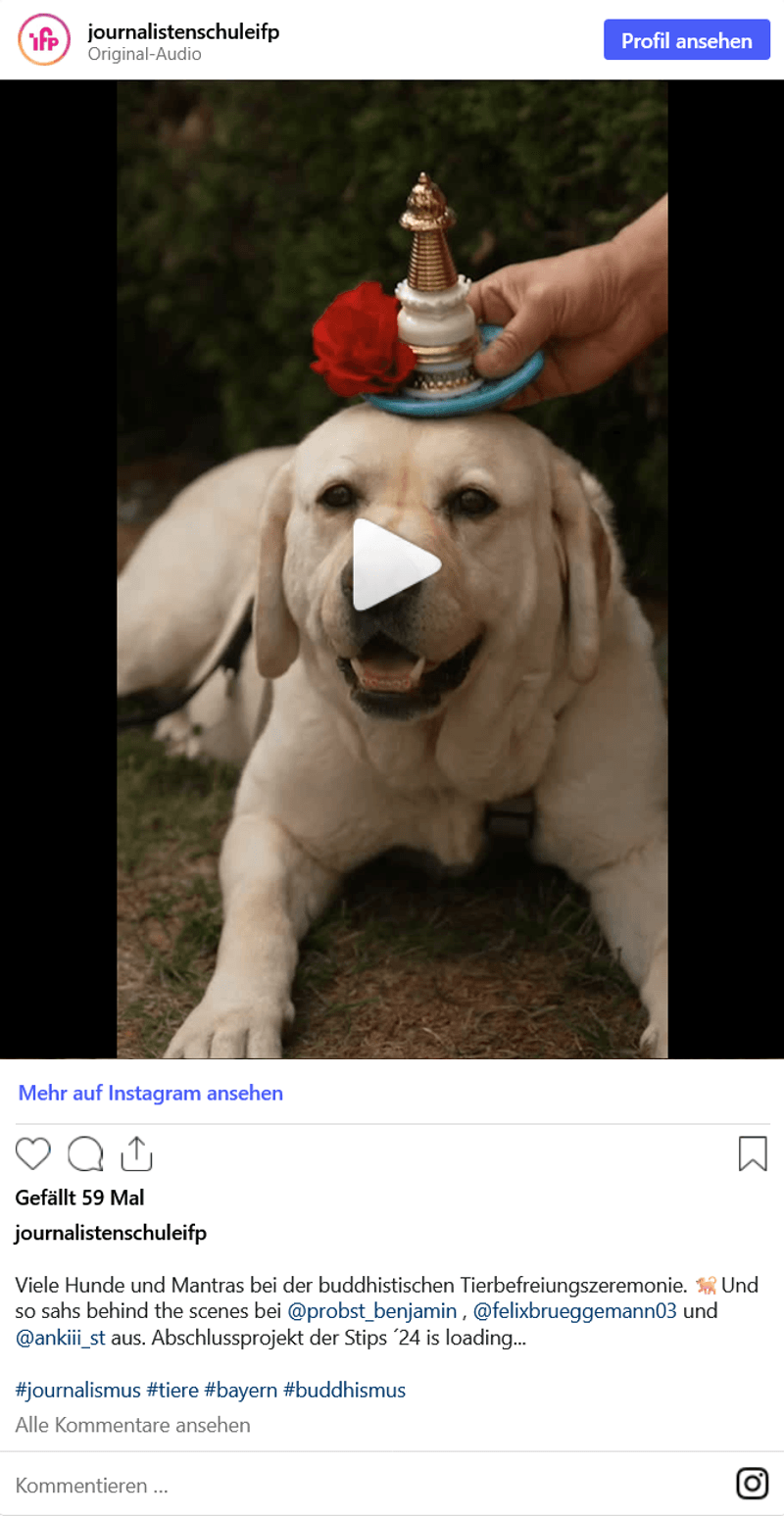 Vorschaubild Instagram-Reel