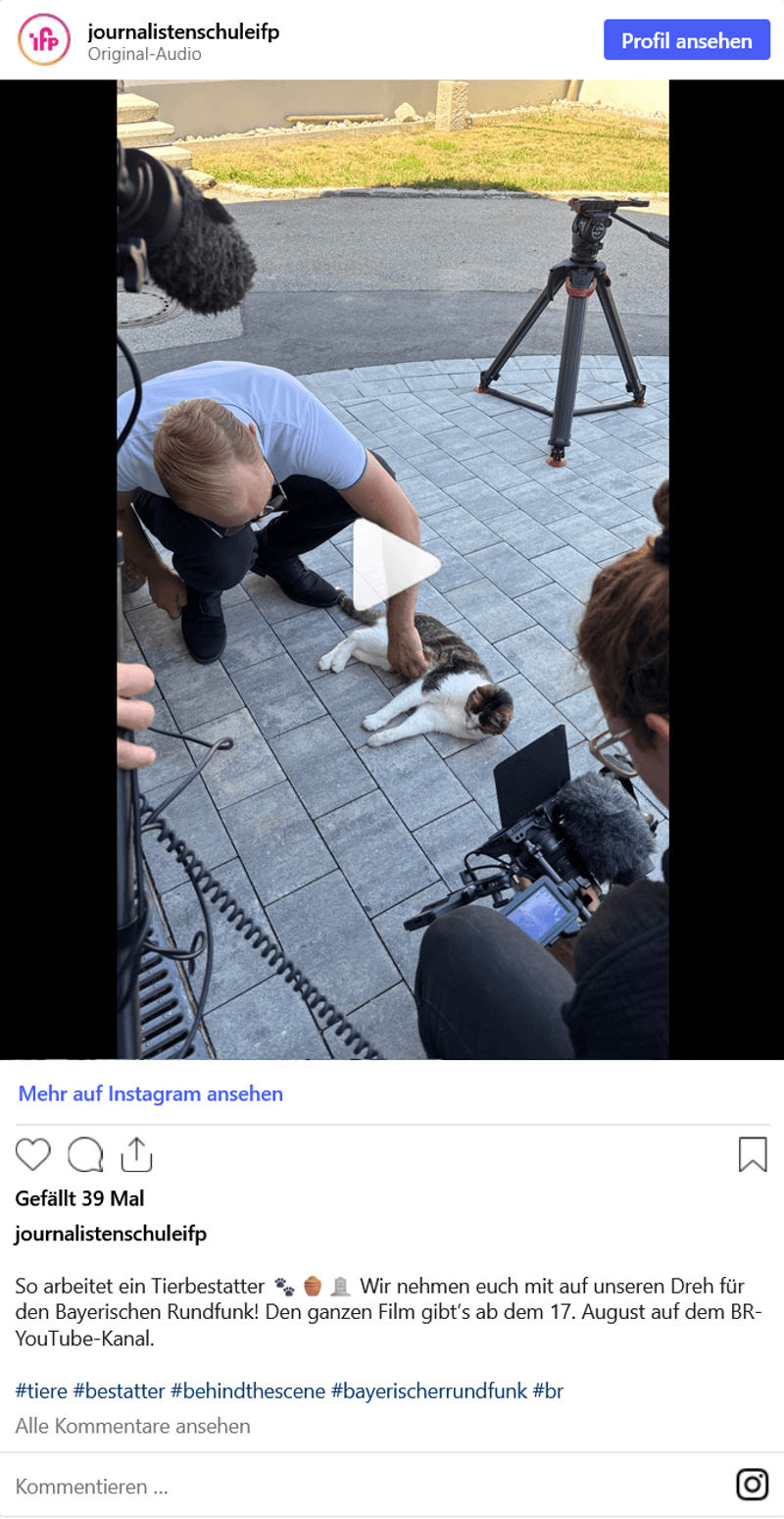 Vorschaubild Instagram-Reel
