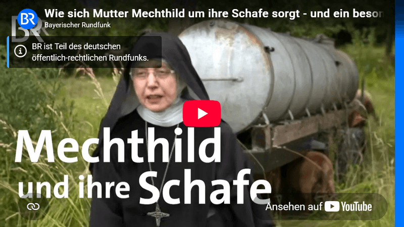 Vorschaubild Youtube-Video