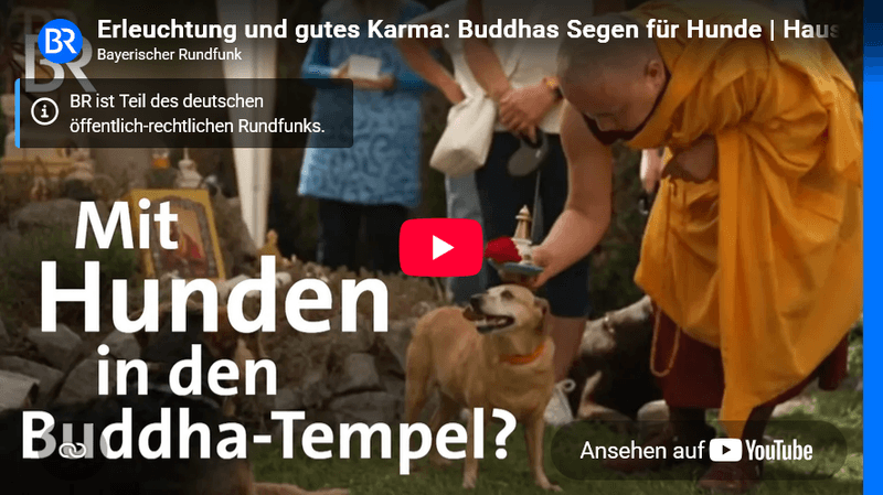 Vorschaubild Youtube-Video
