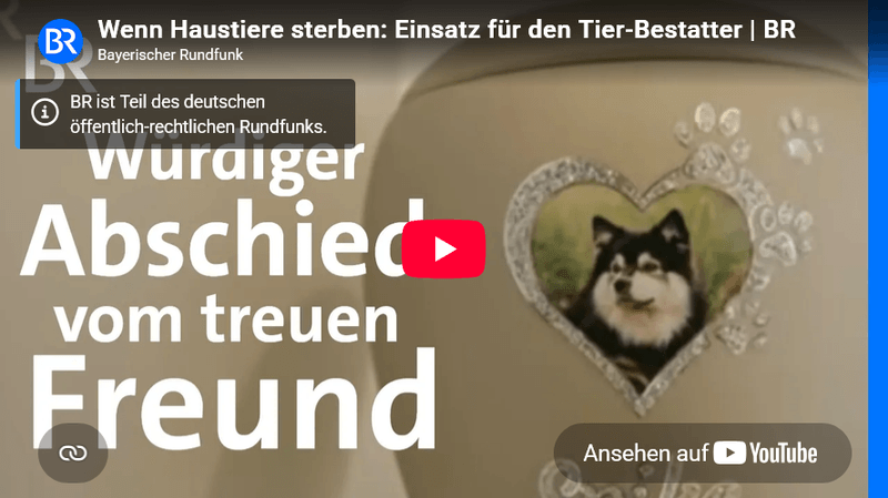 Vorschaubild Youtube-Video